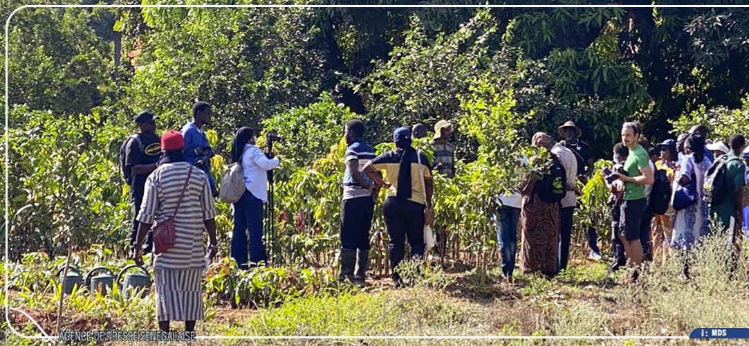 Essaout révèle les trésors agroécologiques de la Basse-Casamance