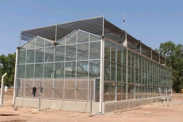 Sédhiou : l’ISRA de Séfa se dote de serres vitrées pour accélérer la recherche agricole