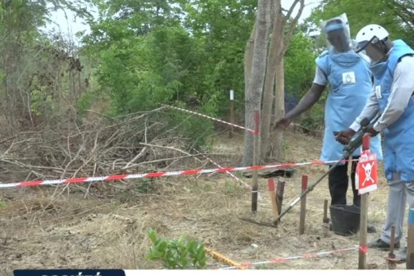 Madina Manjack : la relance du déminage humanitaire pour accélérer le retour des populations en Casamance