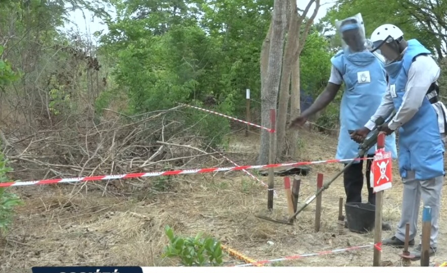 Madina Manjack : la relance du déminage humanitaire pour accélérer le retour des populations en Casamance