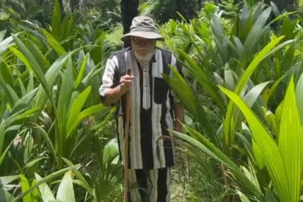 ZIGUINCHOR / Aly El Haidar Président OCEANIUM lance « Ila Prokhane » pour la reforestation de porokhane