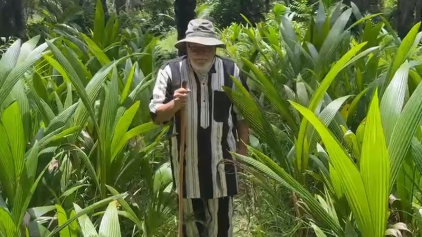ZIGUINCHOR / Aly El Haidar Président OCEANIUM lance « Ila Prokhane » pour la reforestation de porokhane