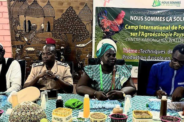 Niaguis : des femmes rurales africaines mobilisées pour un élevage agroécologique