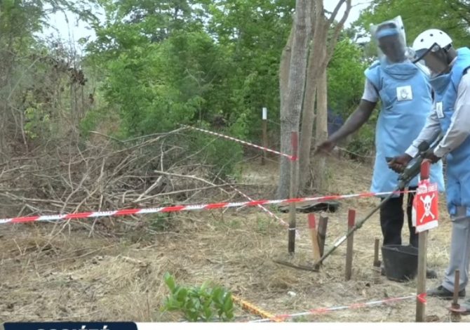 Madina Manjack : la relance du déminage humanitaire pour accélérer le retour des populations en Casamance