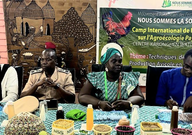 Niaguis : des femmes rurales africaines mobilisées pour un élevage agroécologique